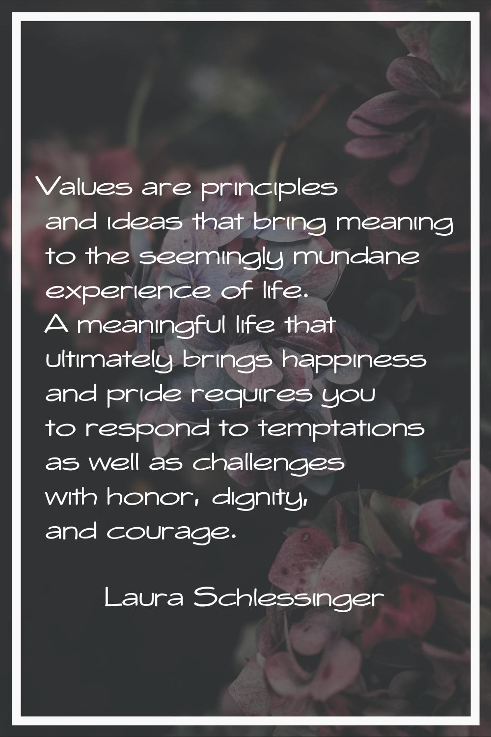 Values are principles and ideas that bring meaning to the seemingly mundane experience of life. A m