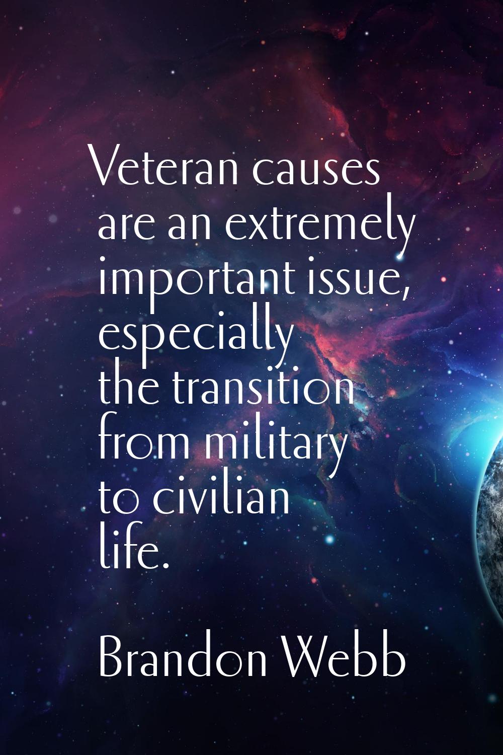Veteran causes are an extremely important issue, especially the transition from military to civilia