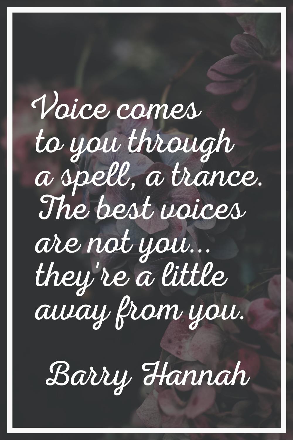 Voice comes to you through a spell, a trance. The best voices are not you... they're a little away 