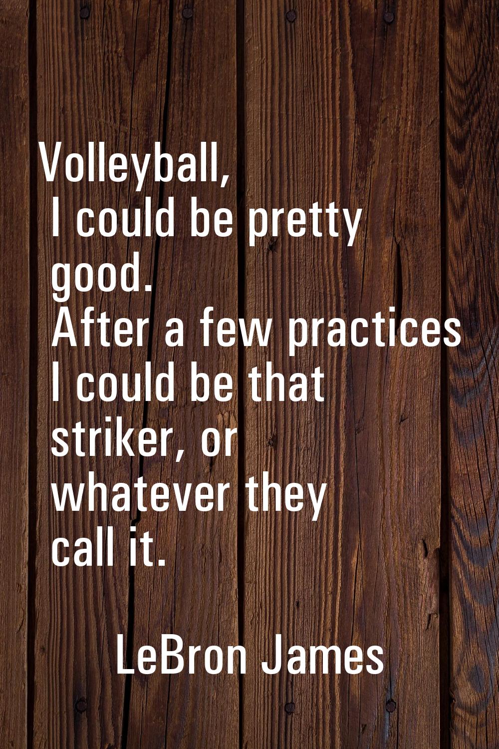 Volleyball, I could be pretty good. After a few practices I could be that striker, or whatever they