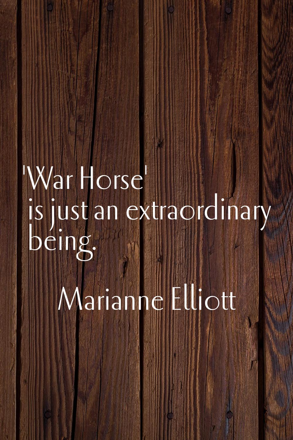 'War Horse' is just an extraordinary being.
