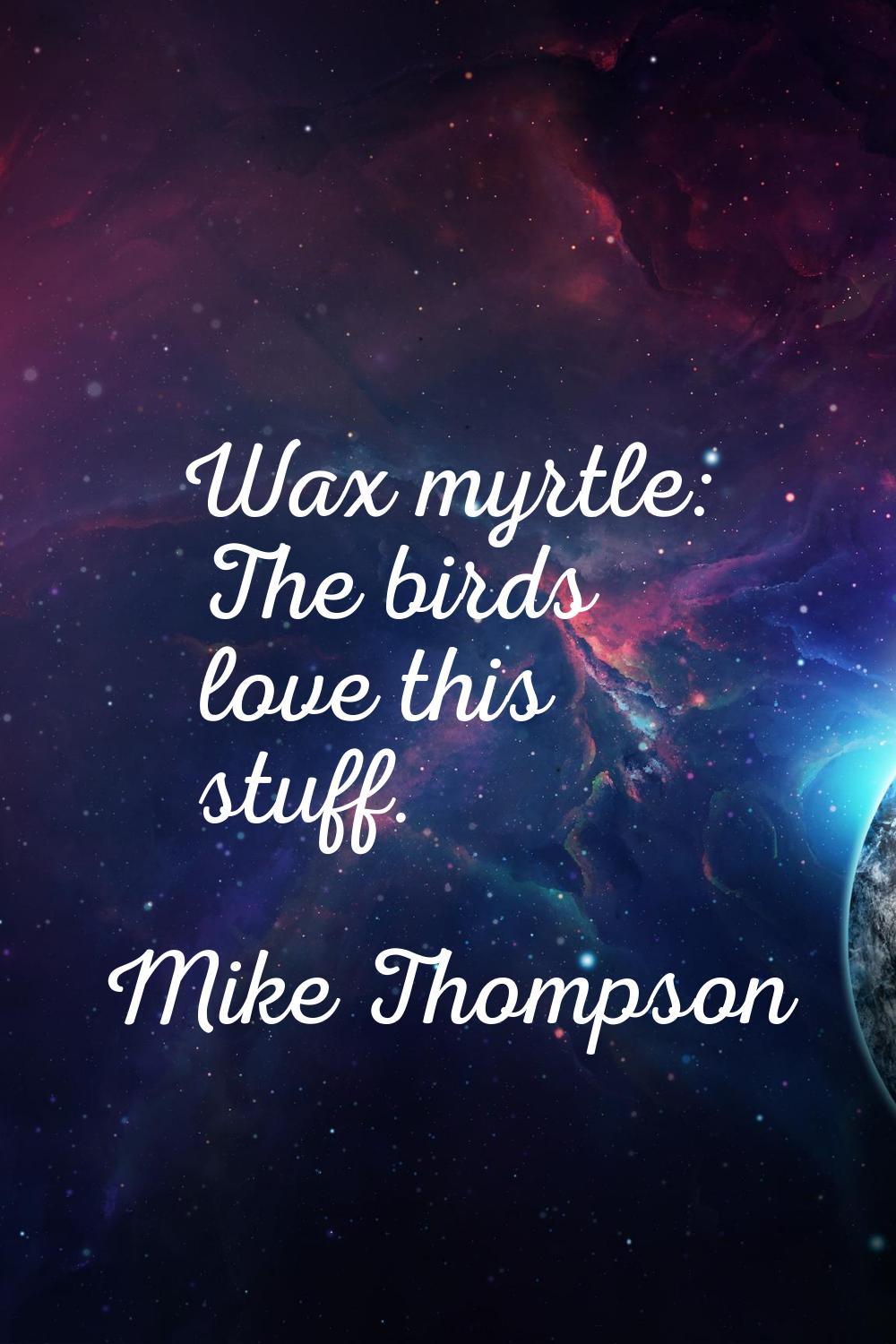 Wax myrtle: The birds love this stuff.