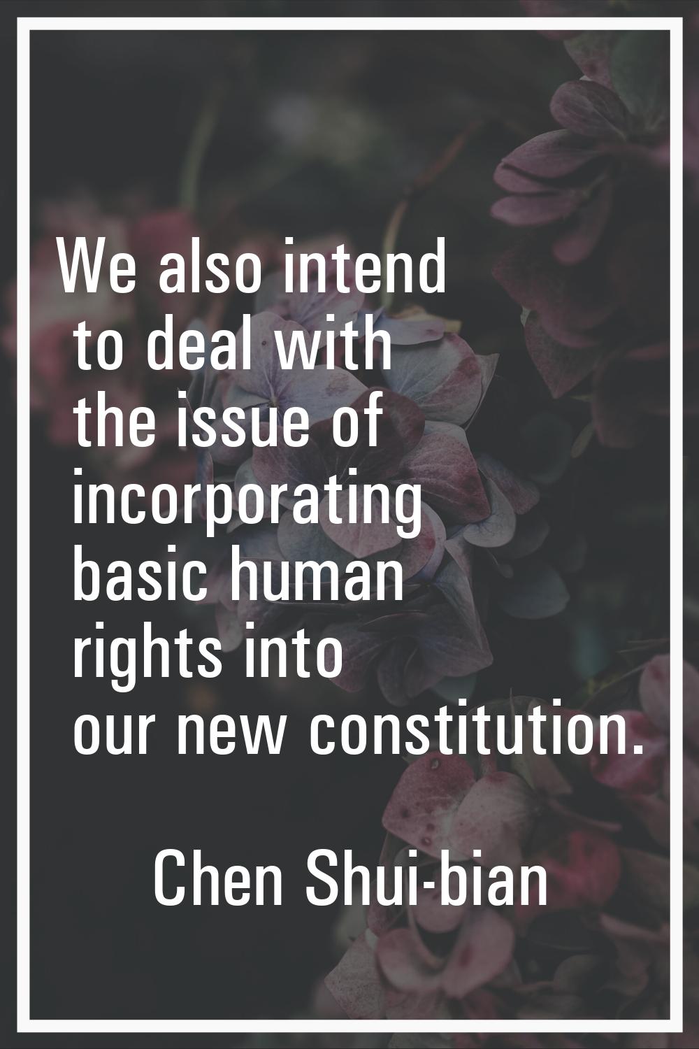 We also intend to deal with the issue of incorporating basic human rights into our new constitution