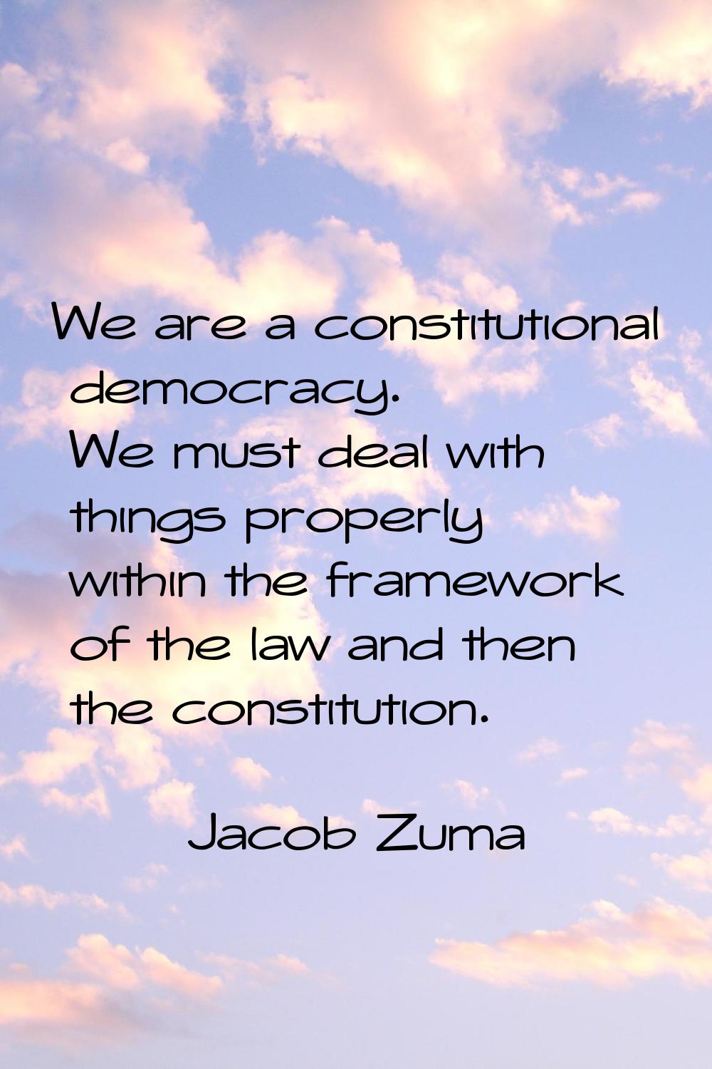 We are a constitutional democracy. We must deal with things properly within the framework of the la