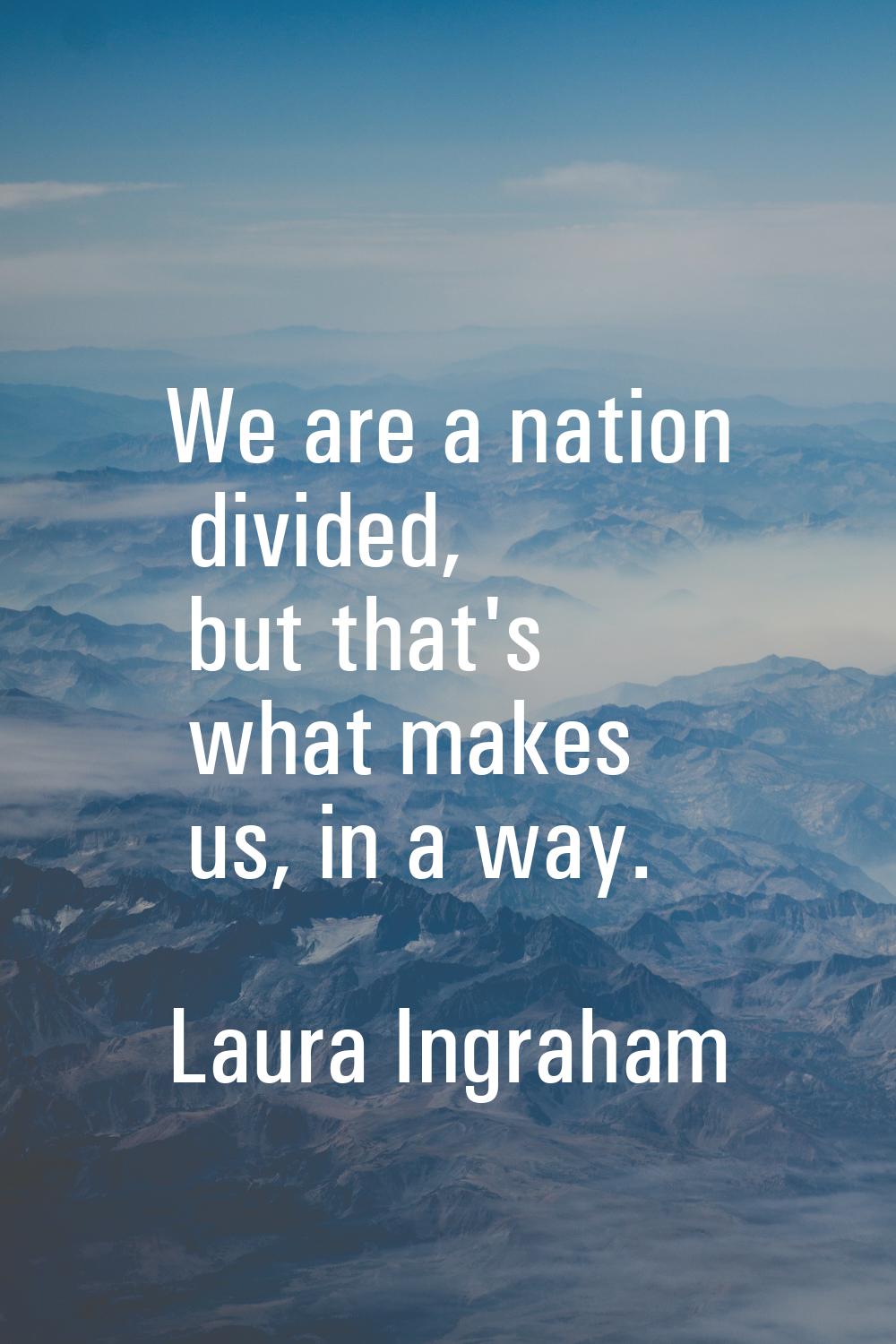 We are a nation divided, but that's what makes us, in a way.