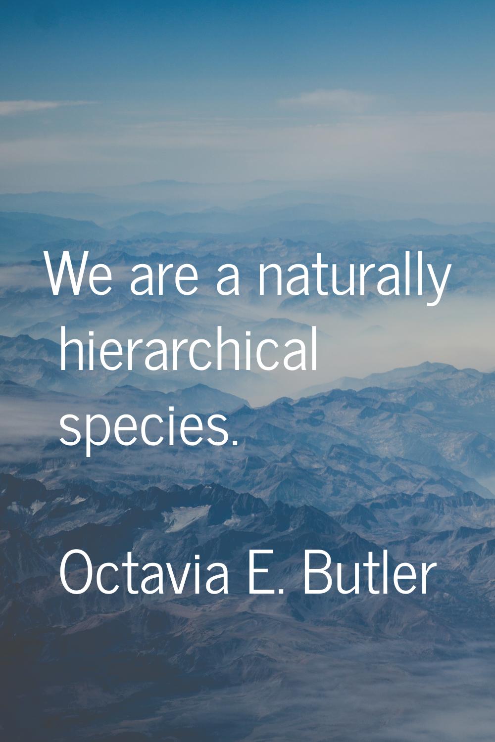 We are a naturally hierarchical species.