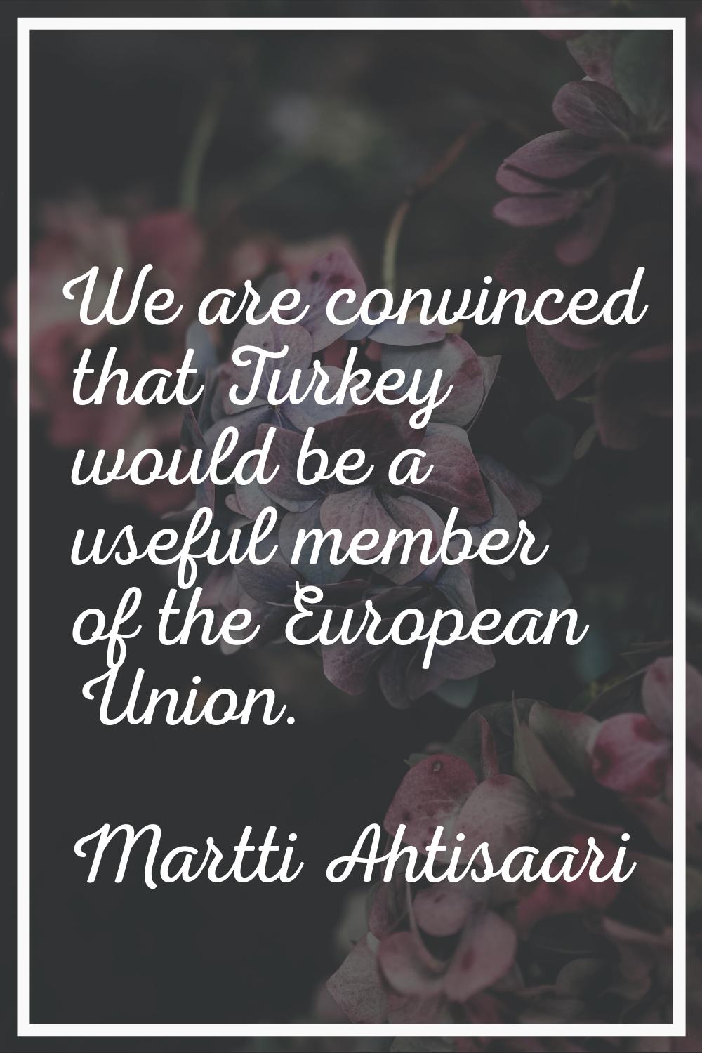 We are convinced that Turkey would be a useful member of the European Union.