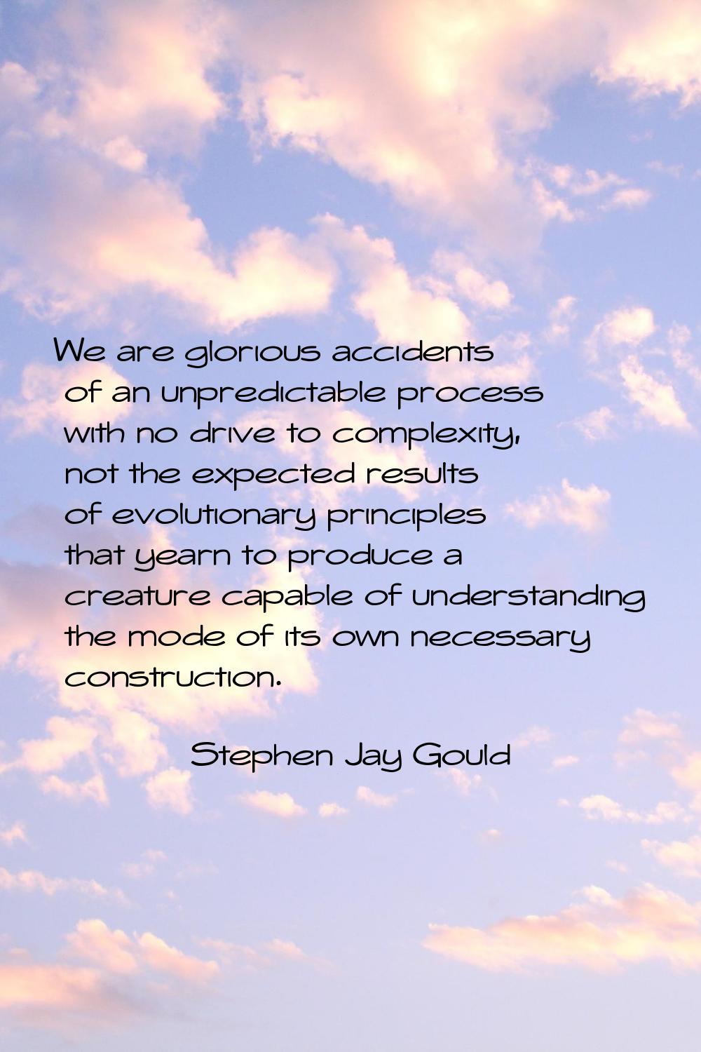 We are glorious accidents of an unpredictable process with no drive to complexity, not the expected
