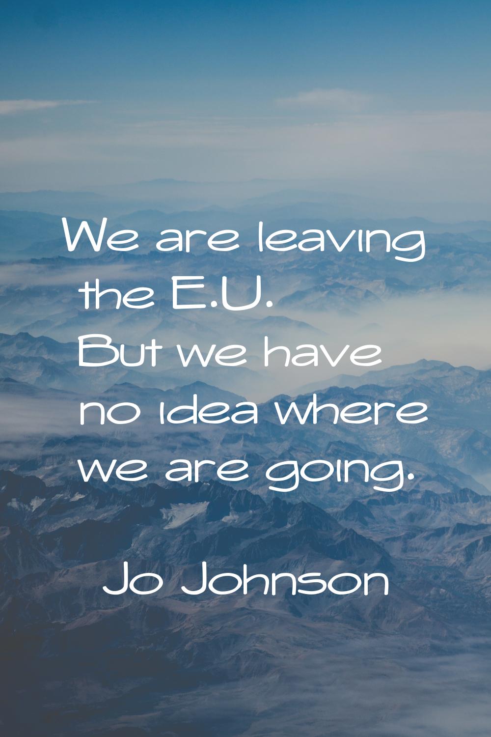 We are leaving the E.U. But we have no idea where we are going.