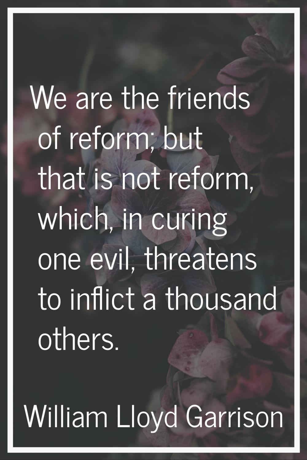 We are the friends of reform; but that is not reform, which, in curing one evil, threatens to infli