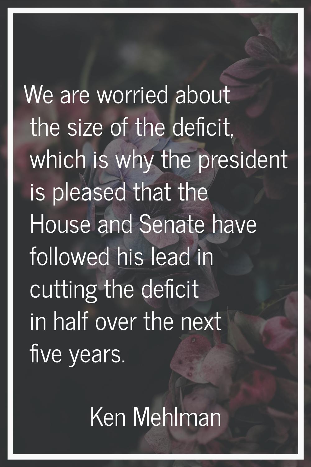 We are worried about the size of the deficit, which is why the president is pleased that the House 