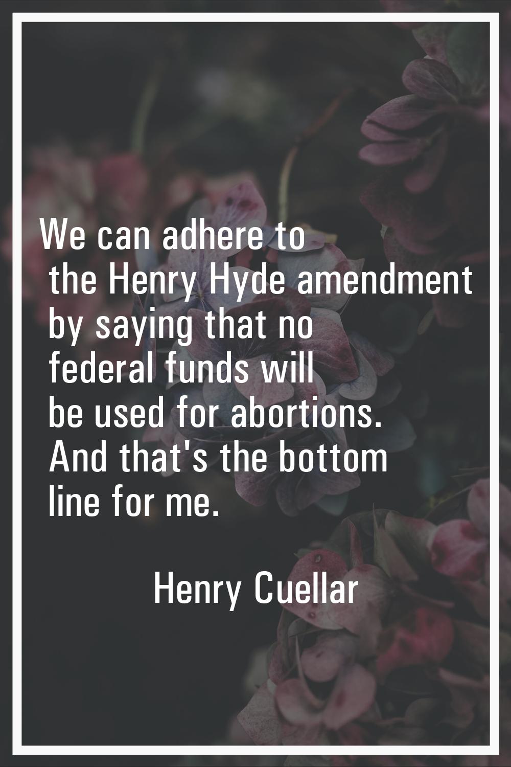 We can adhere to the Henry Hyde amendment by saying that no federal funds will be used for abortion