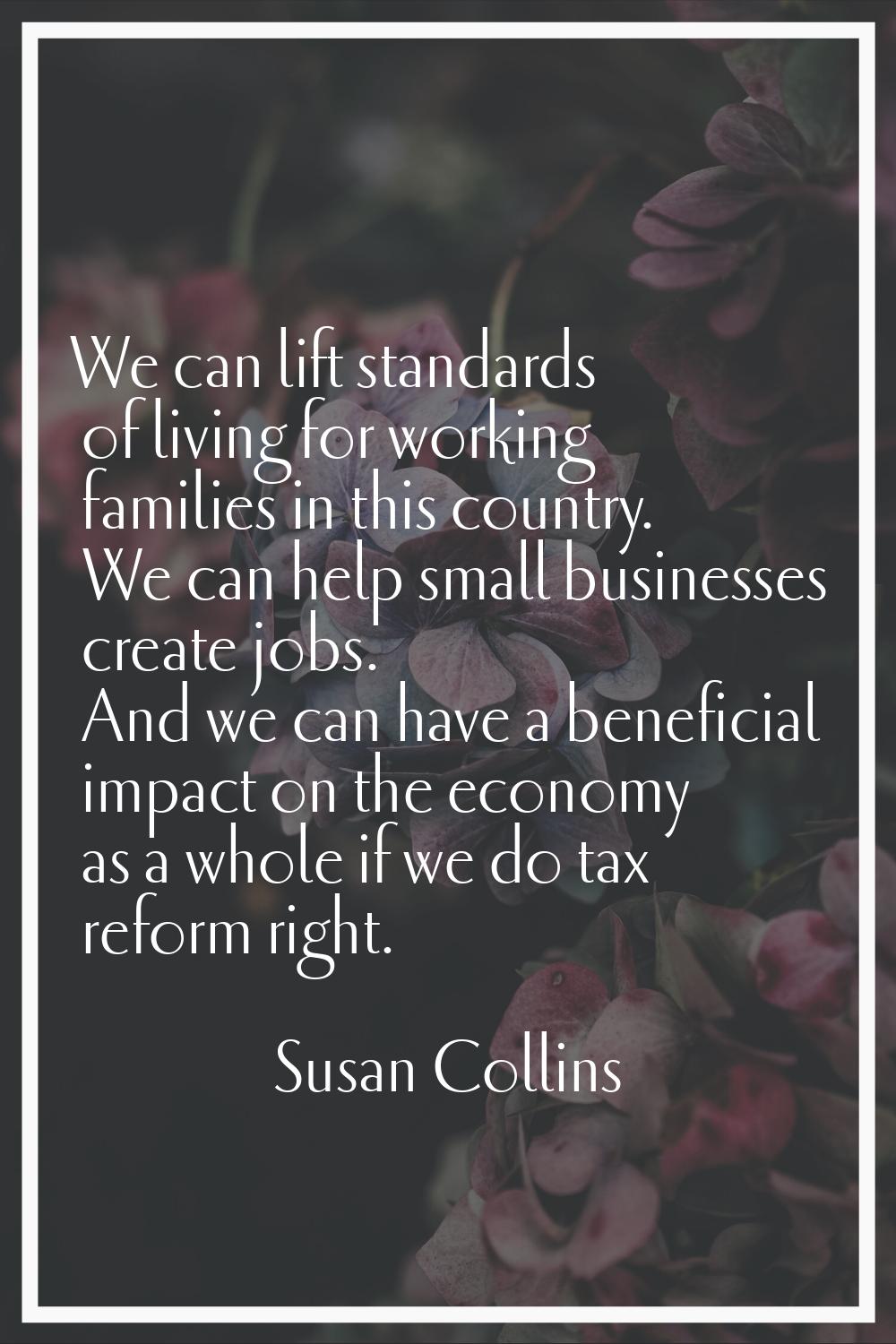 We can lift standards of living for working families in this country. We can help small businesses 