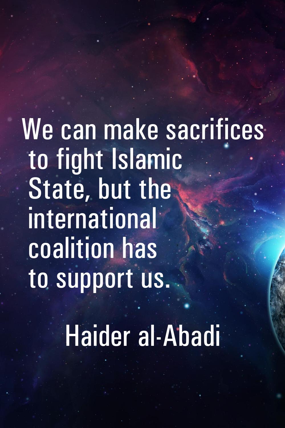 We can make sacrifices to fight Islamic State, but the international coalition has to support us.