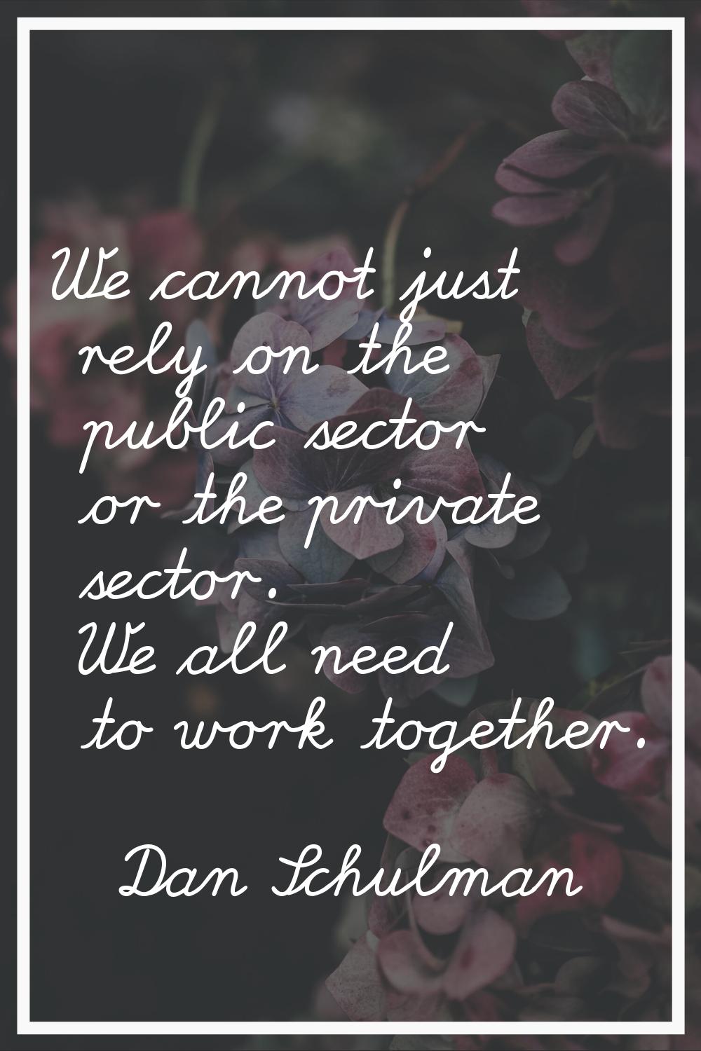 We cannot just rely on the public sector or the private sector. We all need to work together.