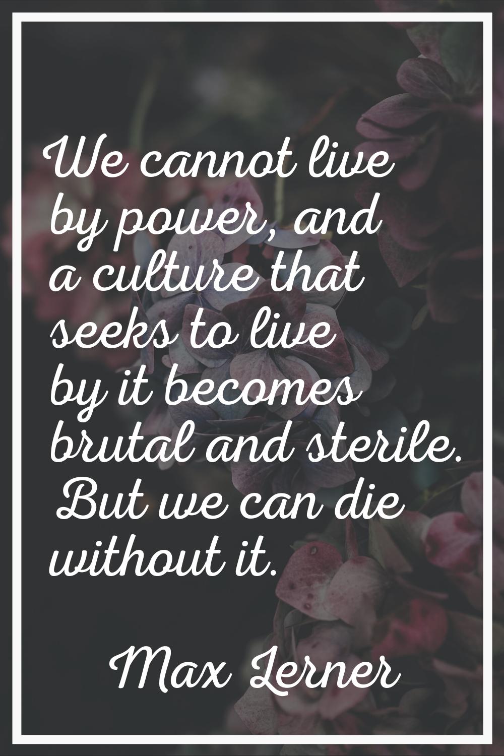 We cannot live by power, and a culture that seeks to live by it becomes brutal and sterile. But we 