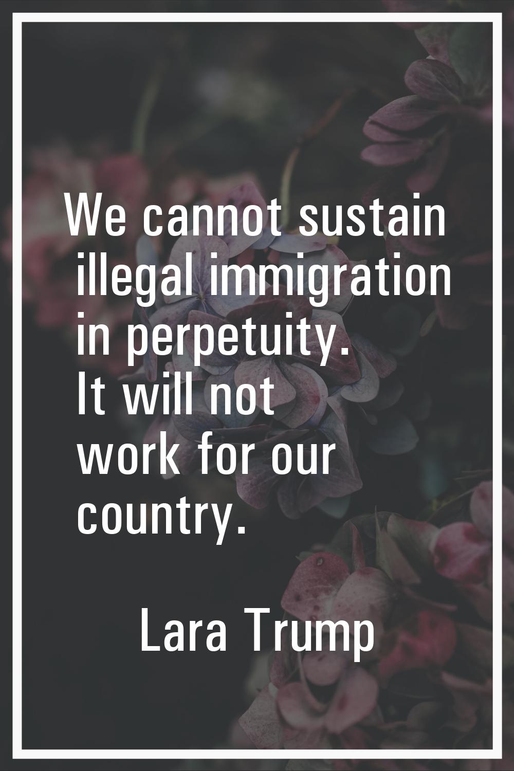 We cannot sustain illegal immigration in perpetuity. It will not work for our country.