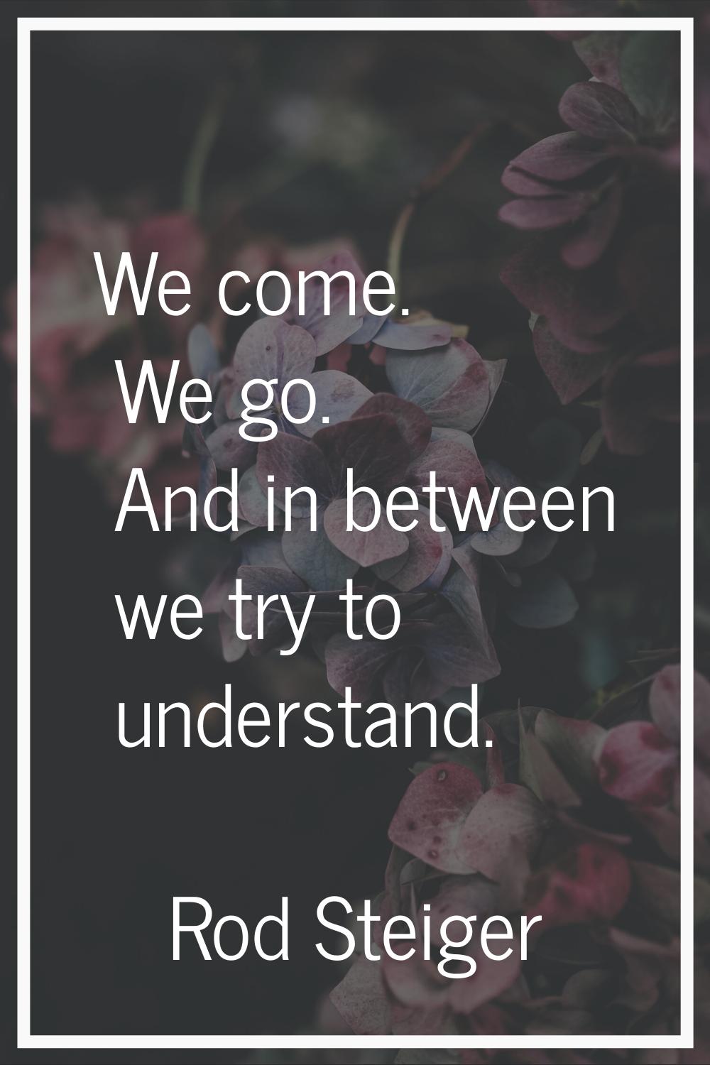 We come. We go. And in between we try to understand.