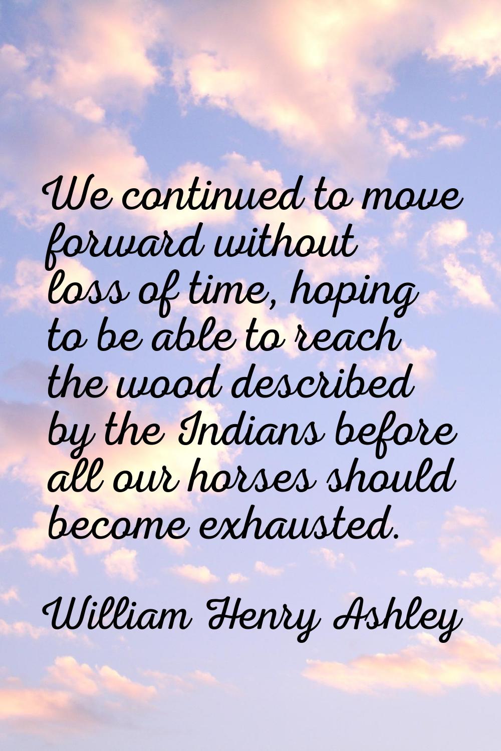 We continued to move forward without loss of time, hoping to be able to reach the wood described by