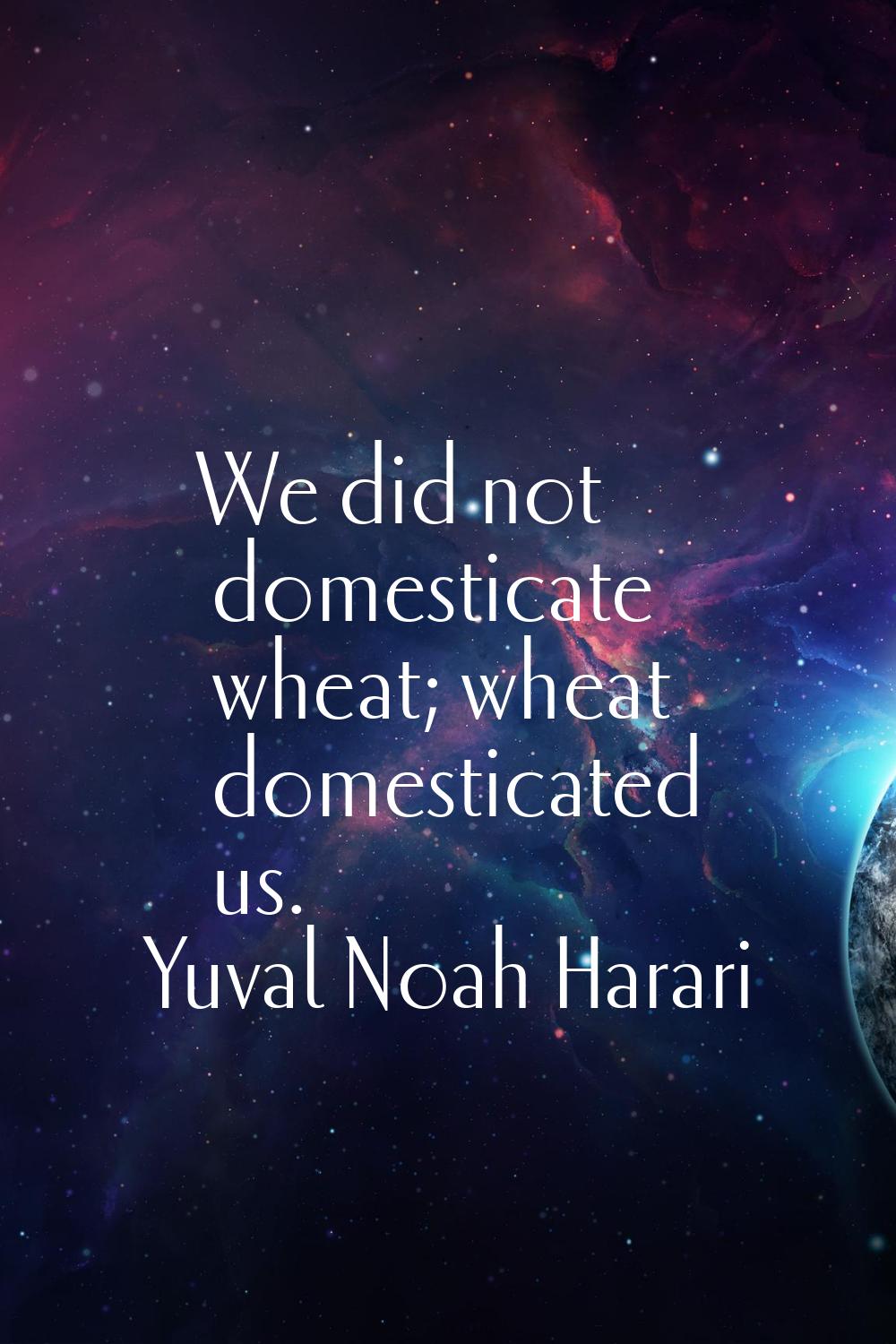 We did not domesticate wheat; wheat domesticated us.