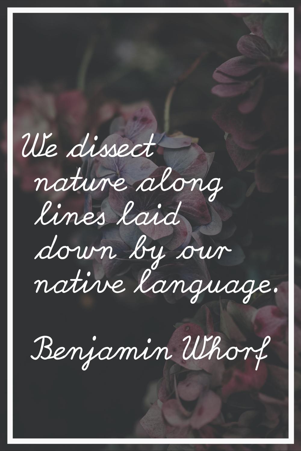 We dissect nature along lines laid down by our native language.