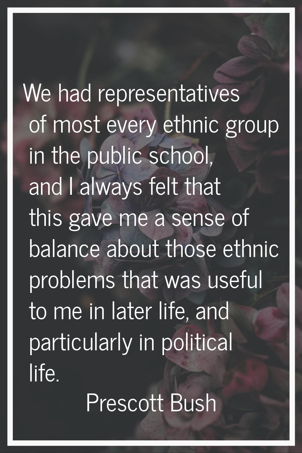 We had representatives of most every ethnic group in the public school, and I always felt that this