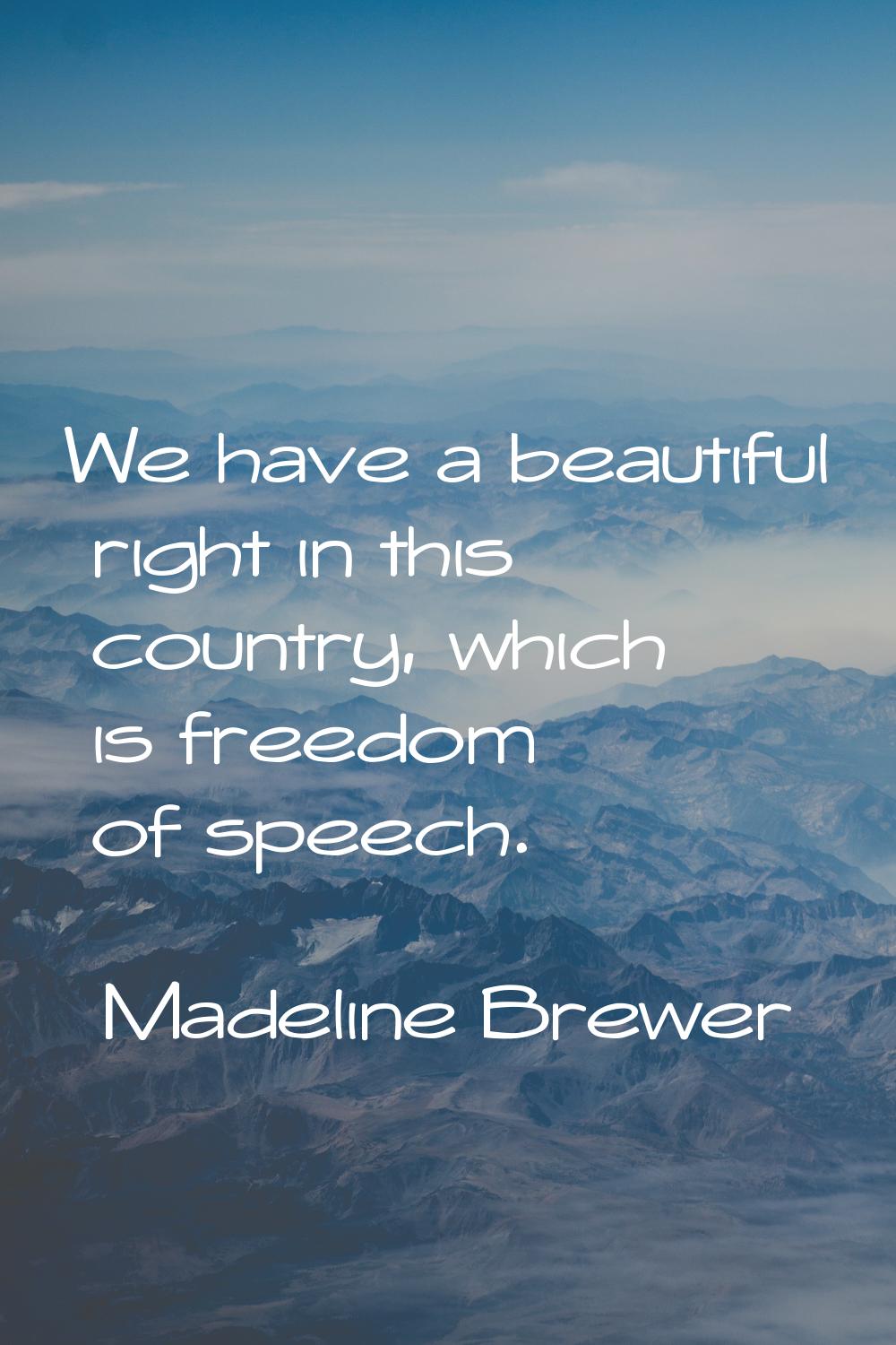 We have a beautiful right in this country, which is freedom of speech.