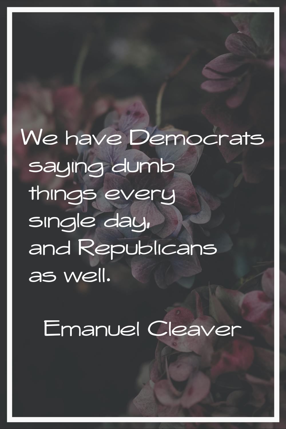 We have Democrats saying dumb things every single day, and Republicans as well.