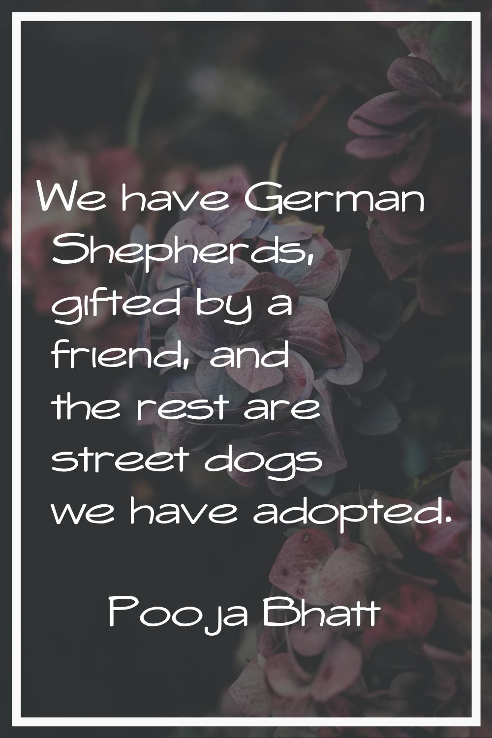 We have German Shepherds, gifted by a friend, and the rest are street dogs we have adopted.