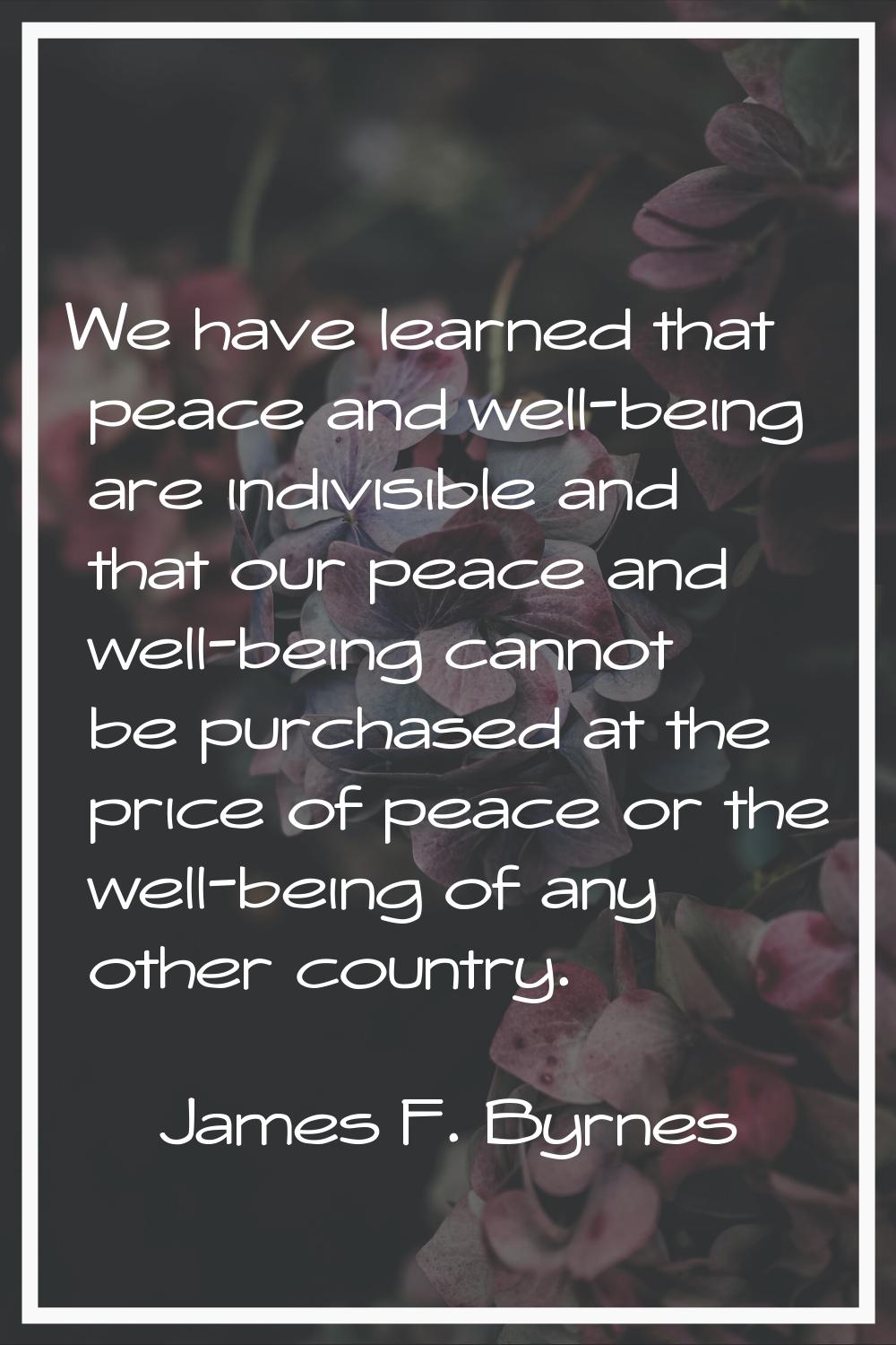 We have learned that peace and well-being are indivisible and that our peace and well-being cannot 