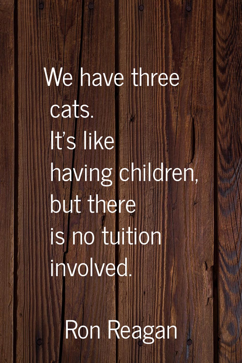 We have three cats. It's like having children, but there is no tuition involved.