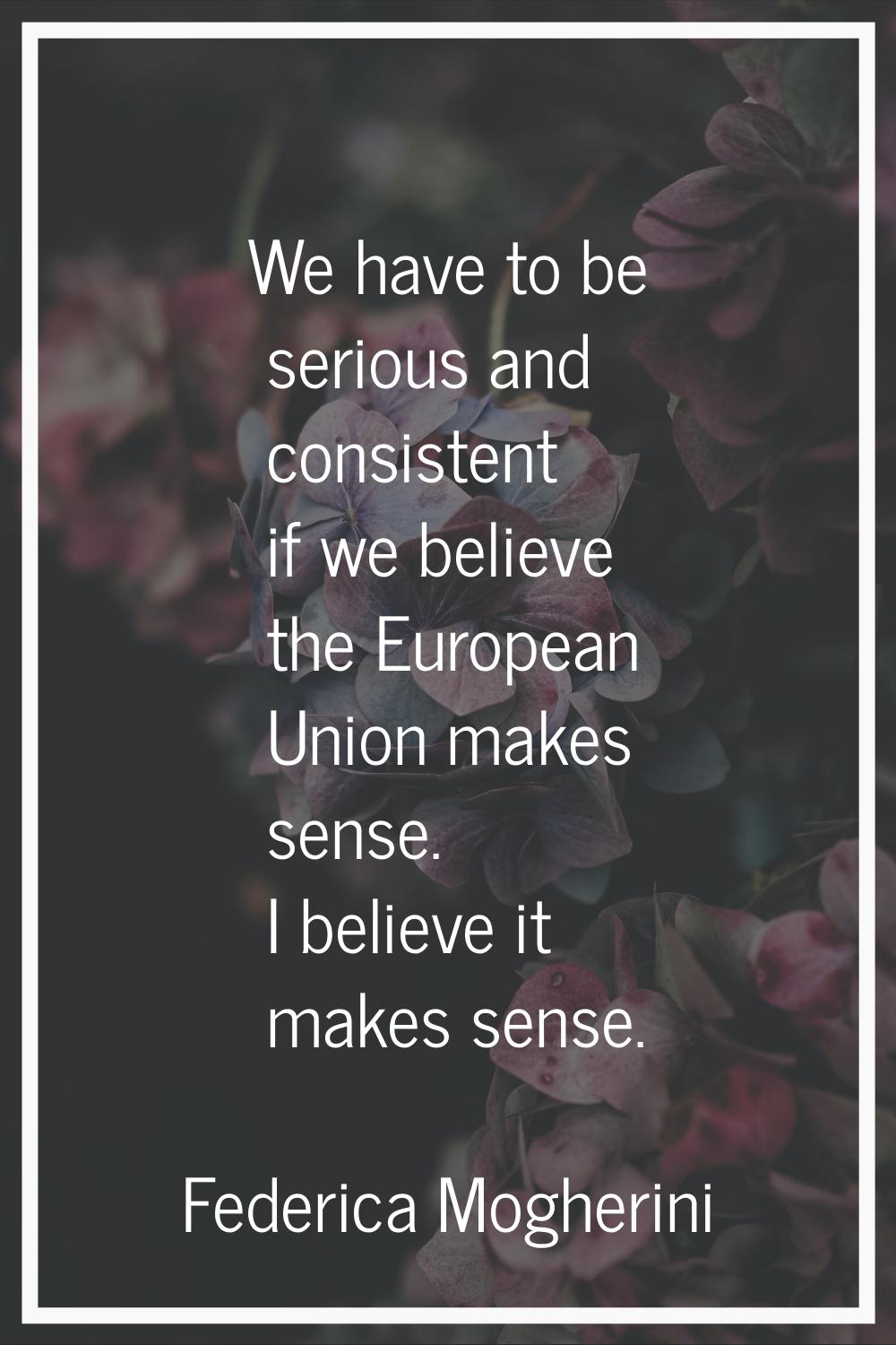 We have to be serious and consistent if we believe the European Union makes sense. I believe it mak