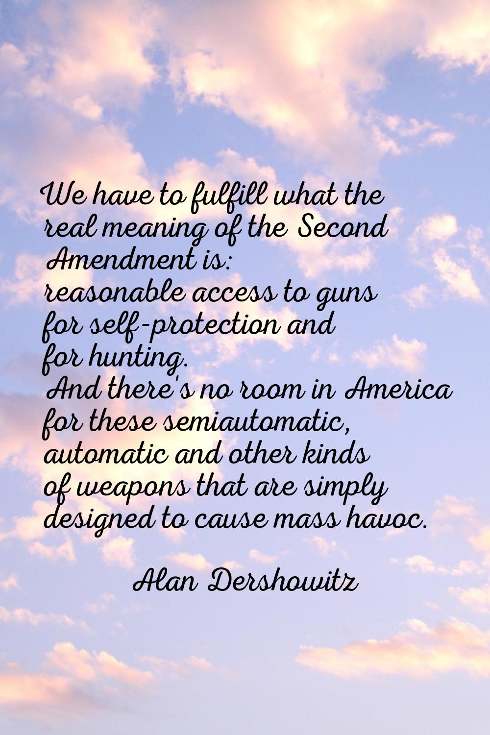 We have to fulfill what the real meaning of the Second Amendment is: reasonable access to guns for 