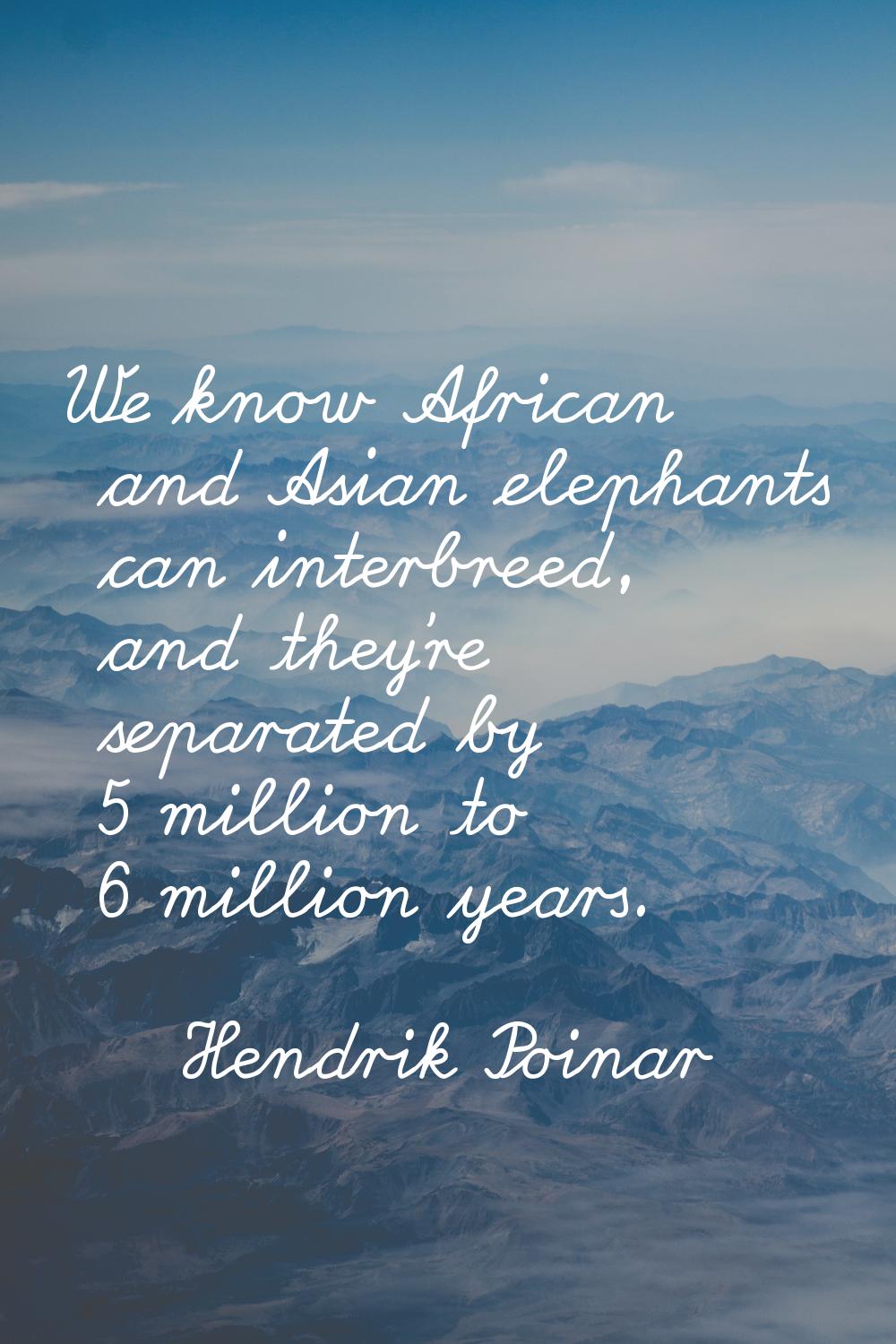 We know African and Asian elephants can interbreed, and they're separated by 5 million to 6 million
