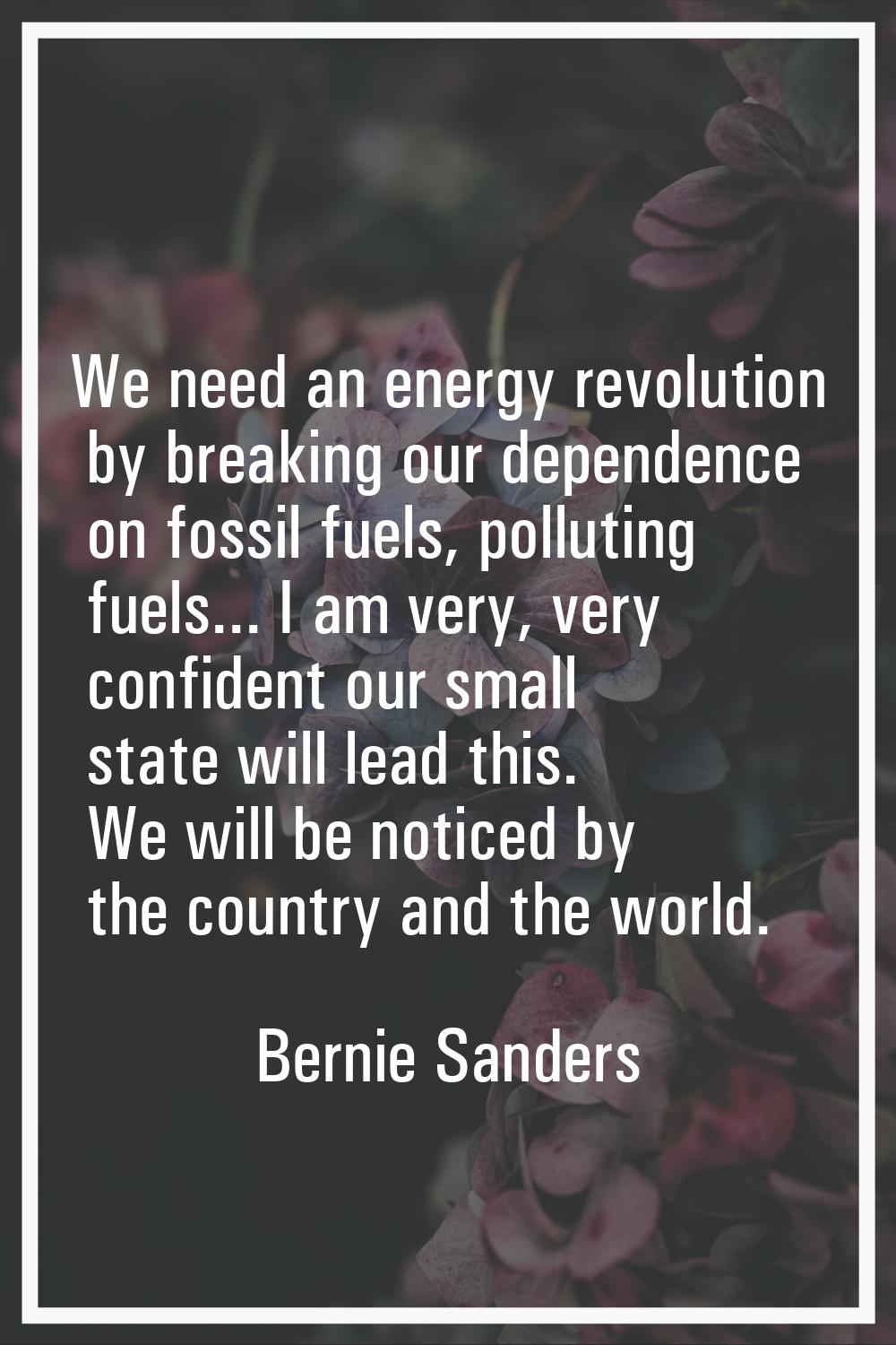 We need an energy revolution by breaking our dependence on fossil fuels, polluting fuels... I am ve