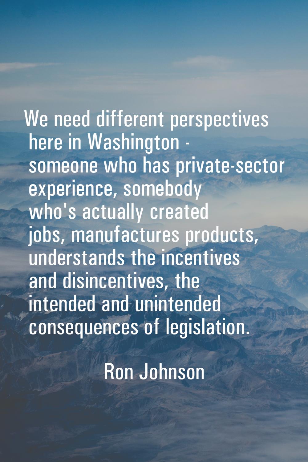 We need different perspectives here in Washington - someone who has private-sector experience, some