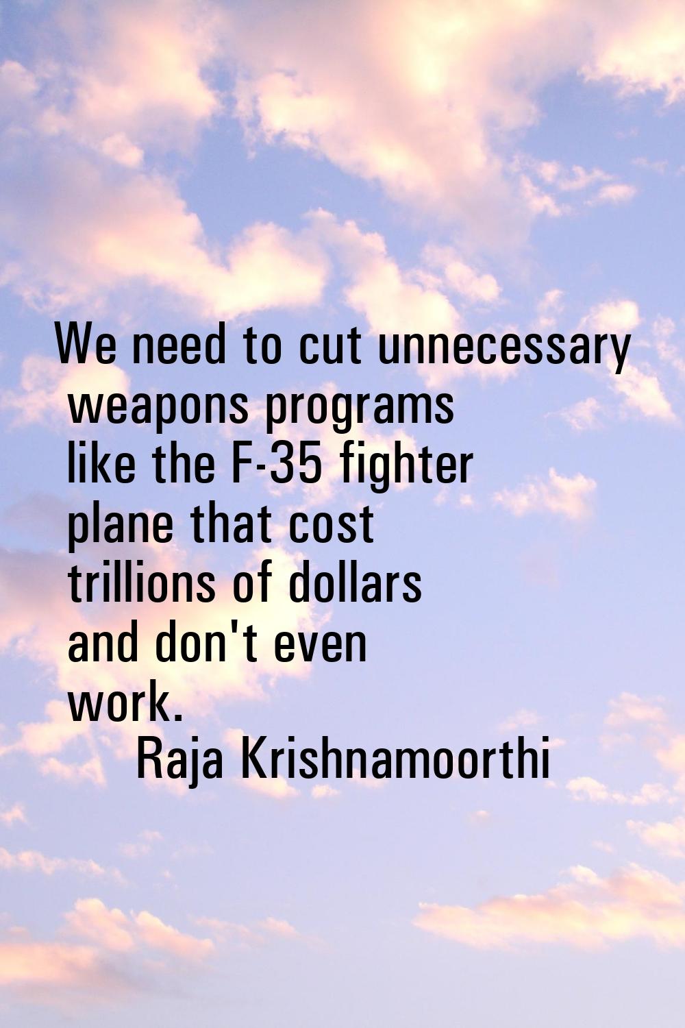 We need to cut unnecessary weapons programs like the F-35 fighter plane that cost trillions of doll