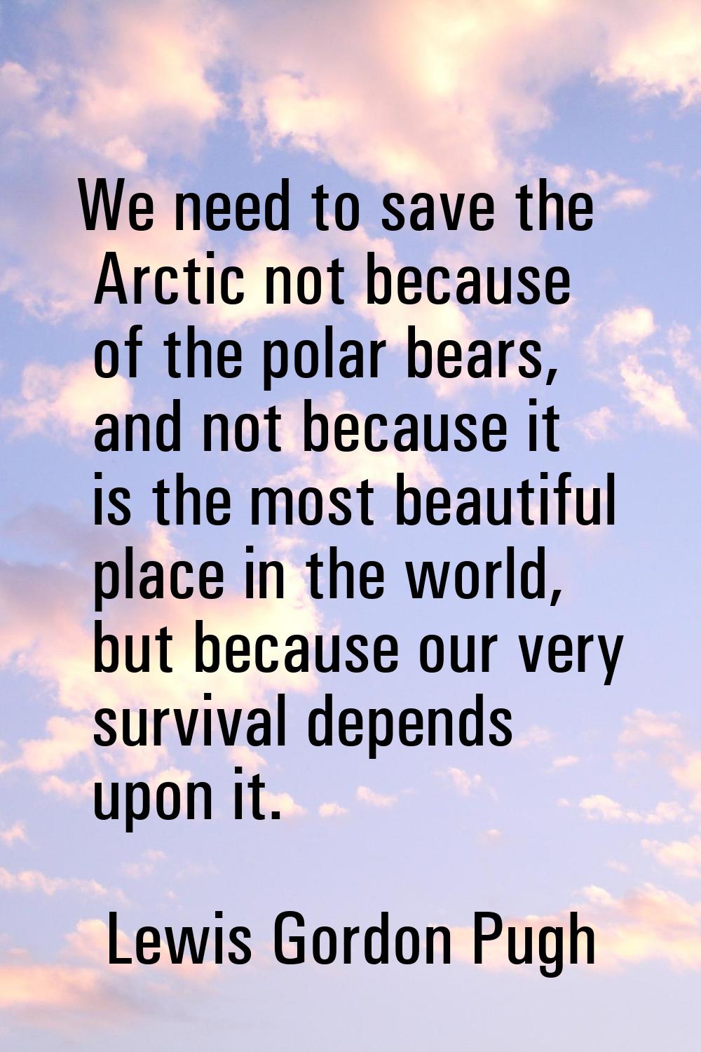 We need to save the Arctic not because of the polar bears, and not because it is the most beautiful