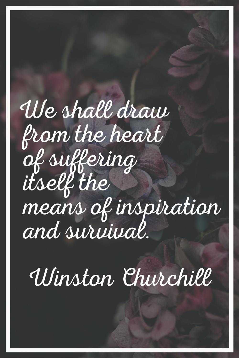 We shall draw from the heart of suffering itself the means of inspiration and survival.