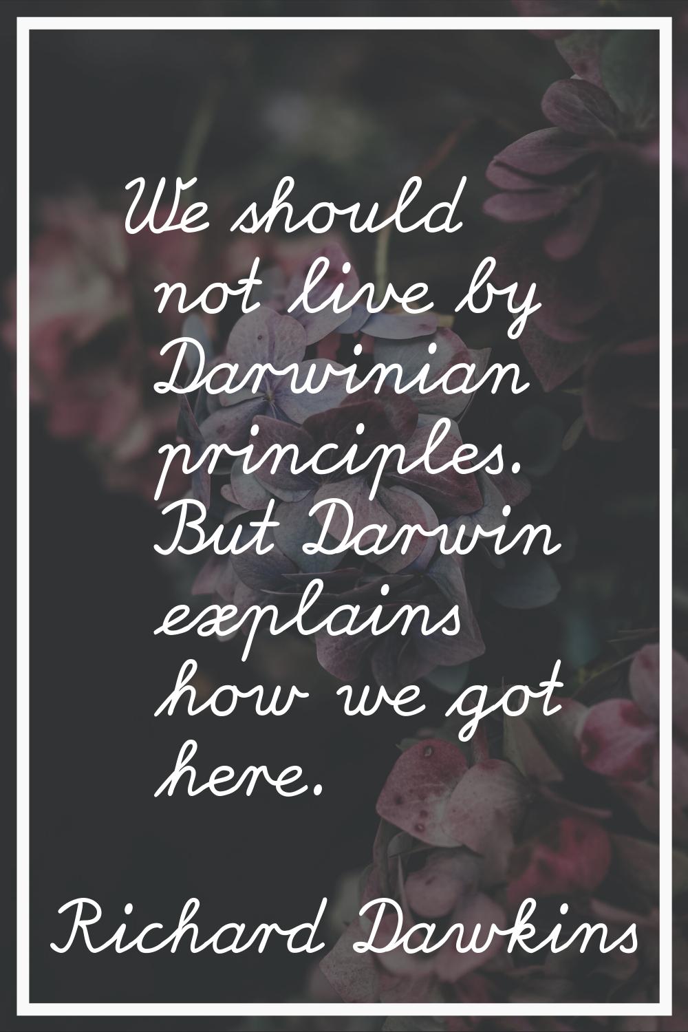 We should not live by Darwinian principles. But Darwin explains how we got here.