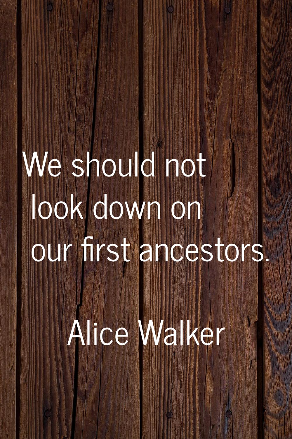 We should not look down on our first ancestors.