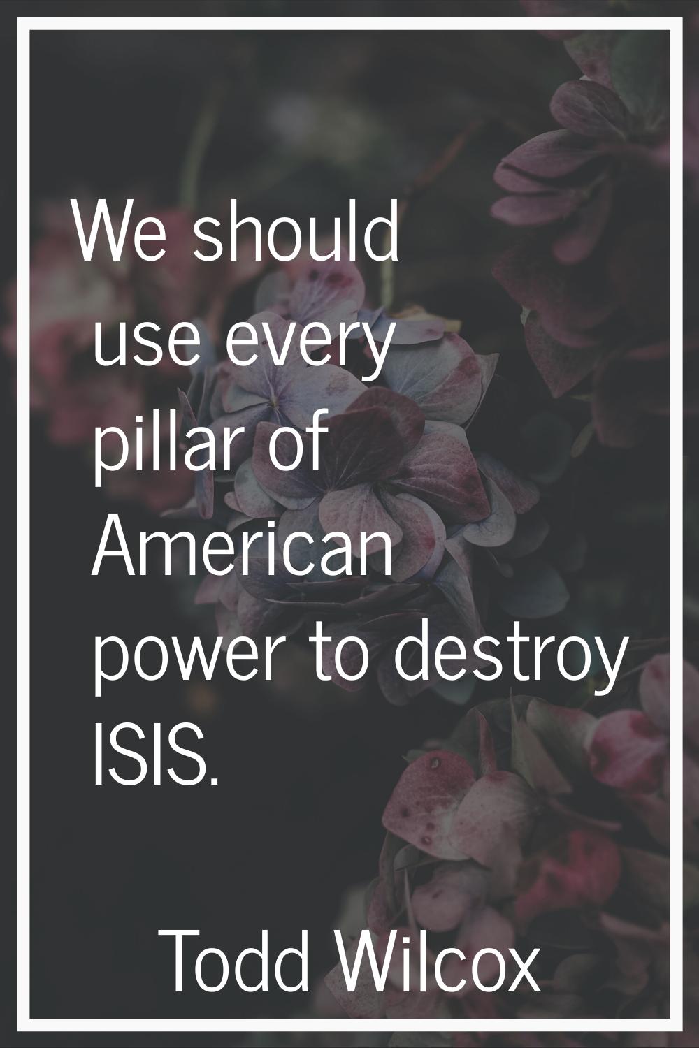 We should use every pillar of American power to destroy ISIS.
