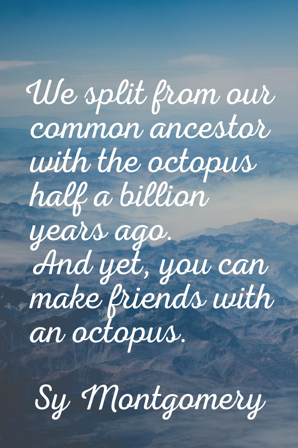 We split from our common ancestor with the octopus half a billion years ago. And yet, you can make 