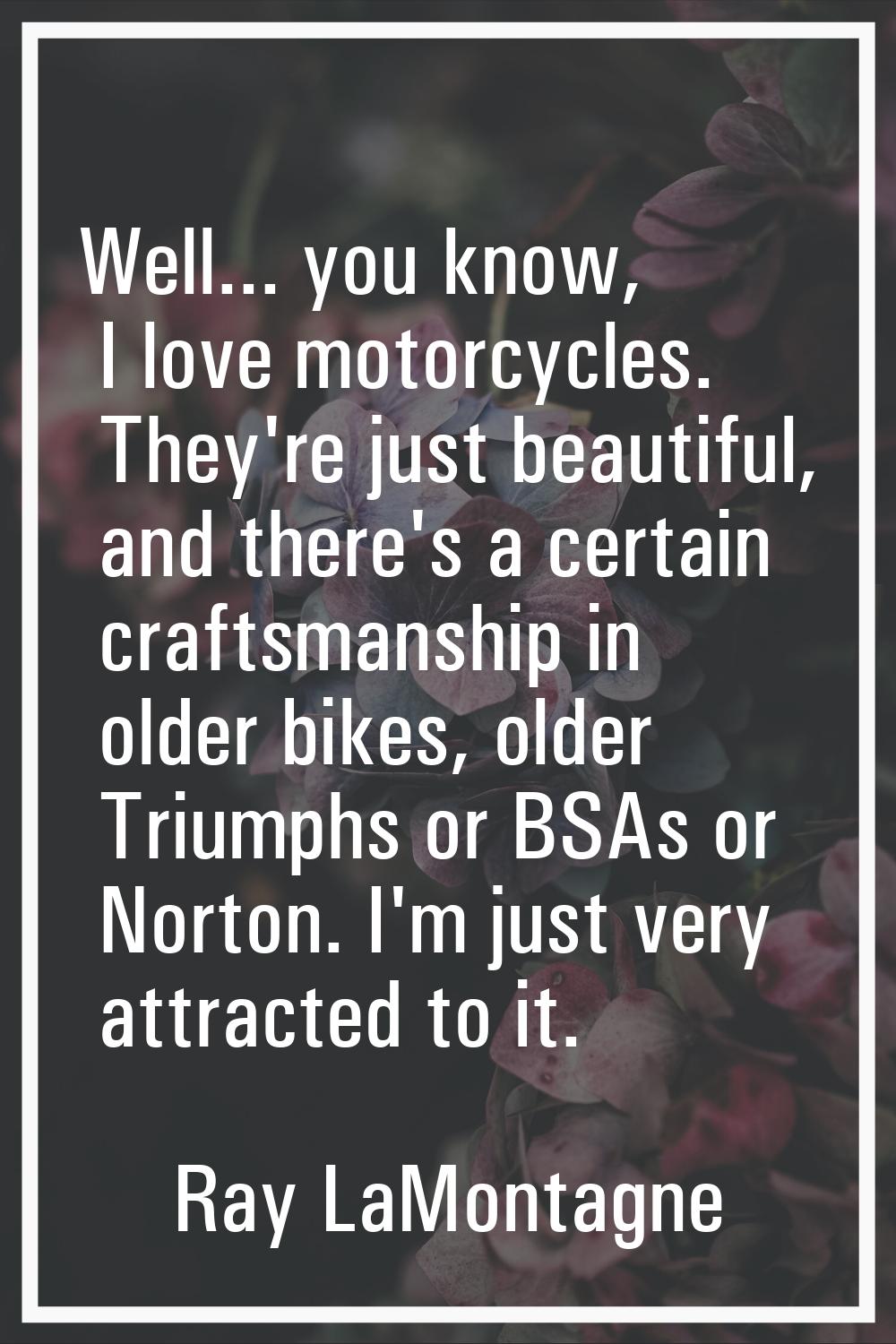 Well... you know, I love motorcycles. They're just beautiful, and there's a certain craftsmanship i