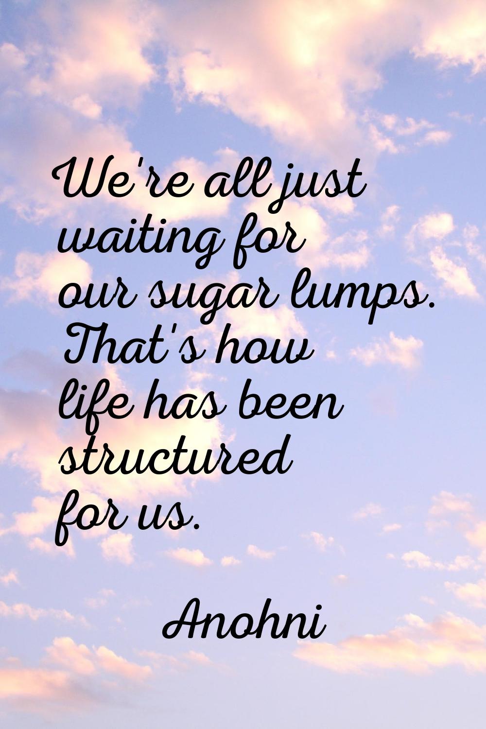 We're all just waiting for our sugar lumps. That's how life has been structured for us.