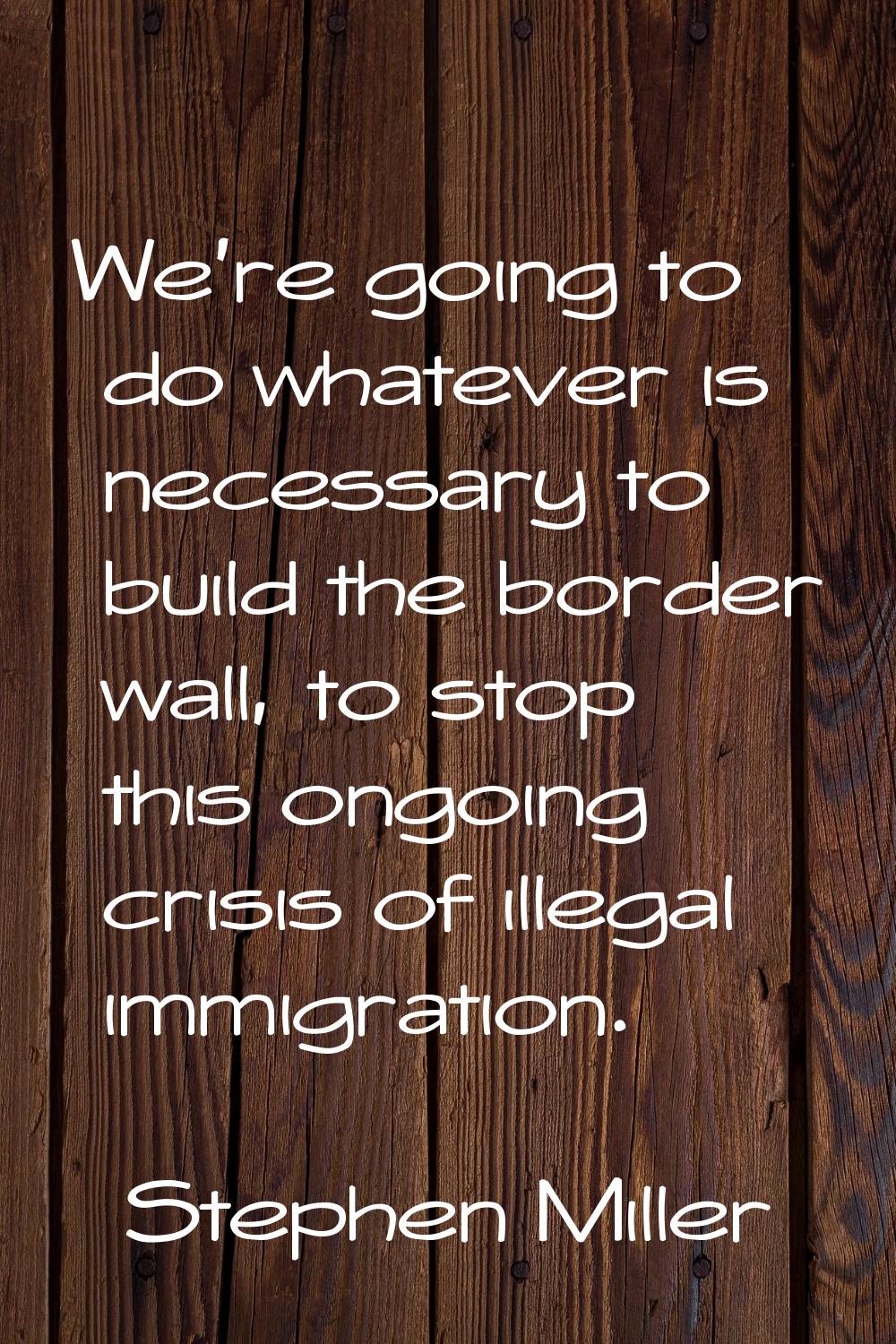We're going to do whatever is necessary to build the border wall, to stop this ongoing crisis of il