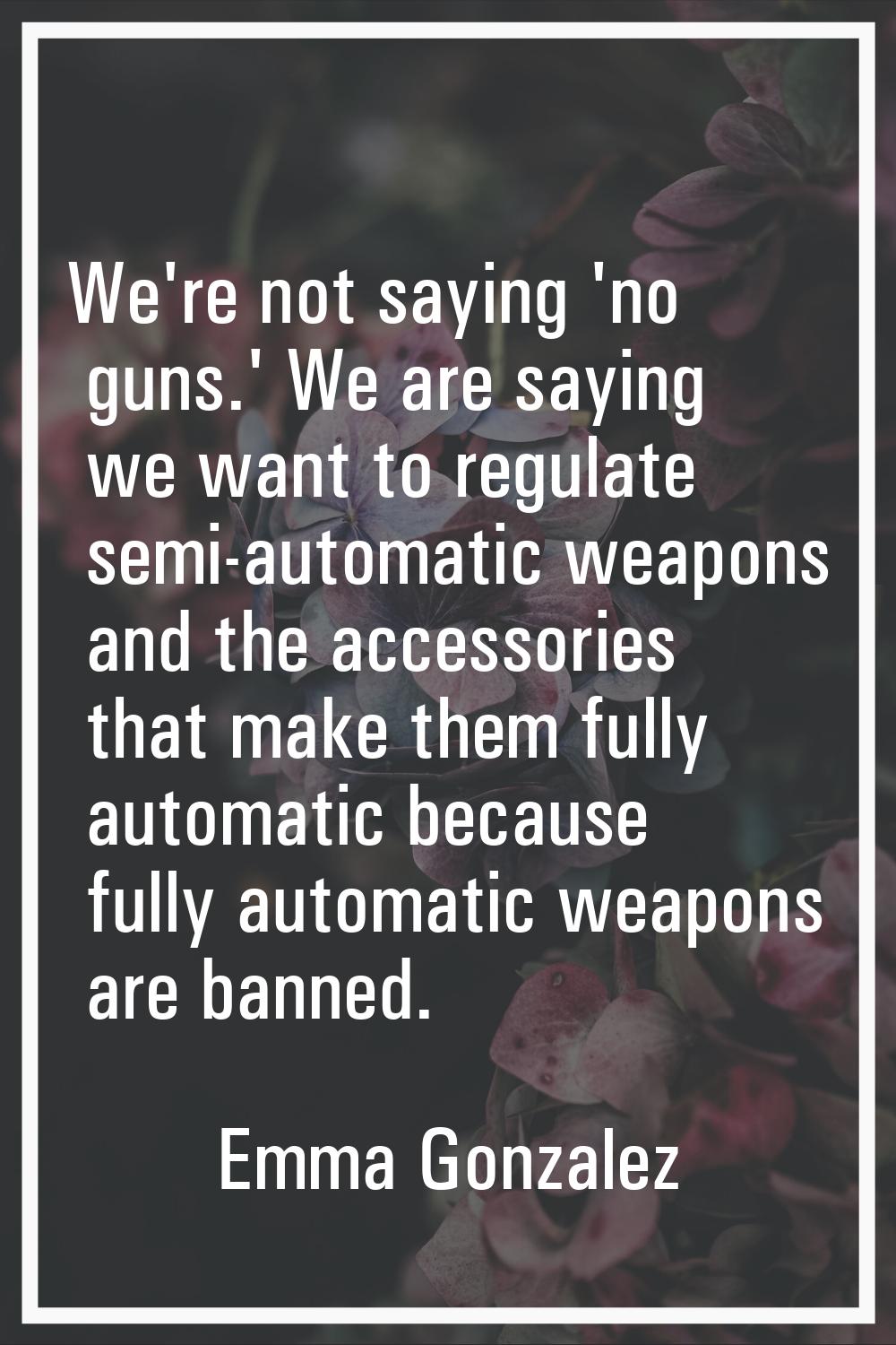 We're not saying 'no guns.' We are saying we want to regulate semi-automatic weapons and the access