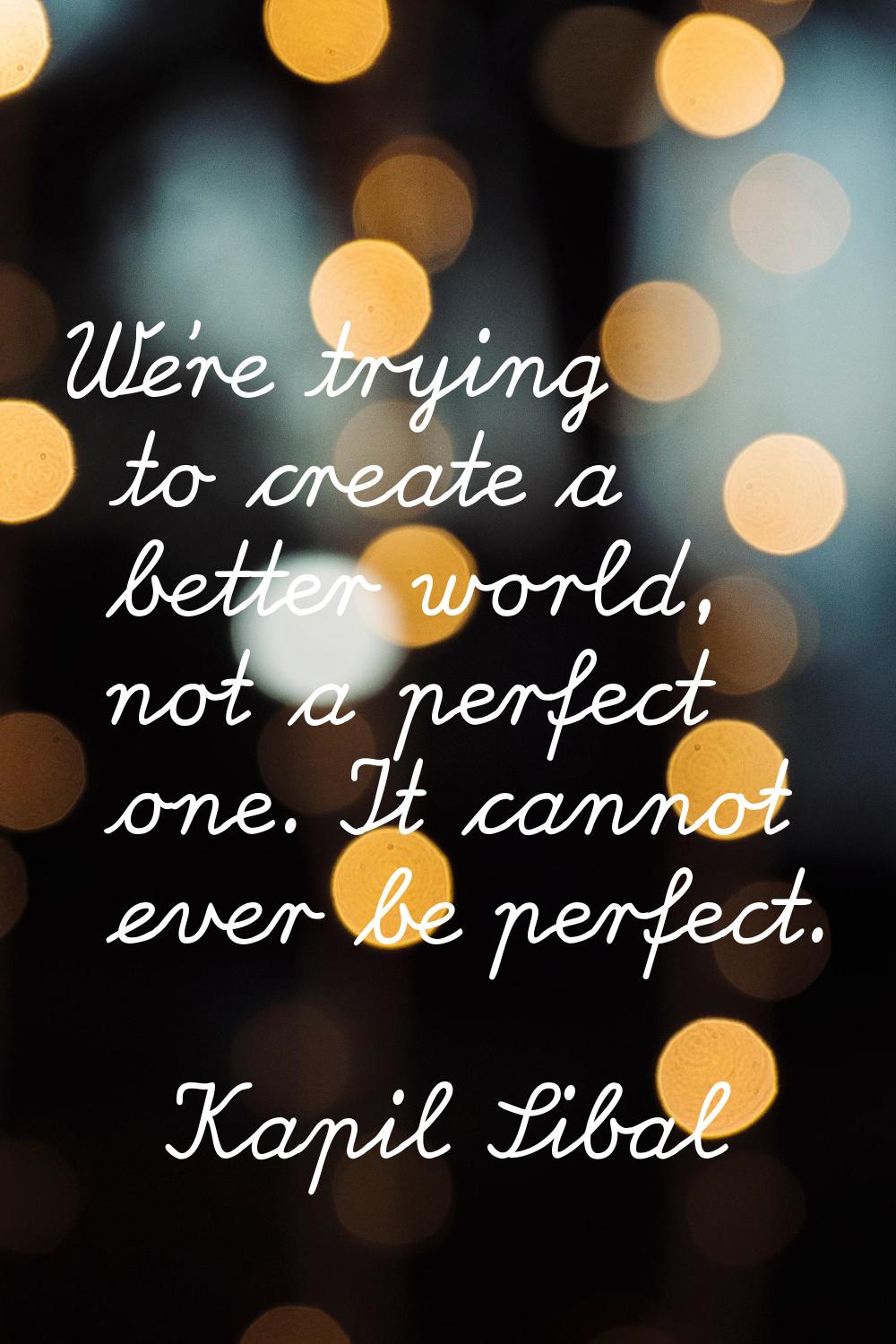 We're trying to create a better world, not a perfect one. It cannot ever be perfect.