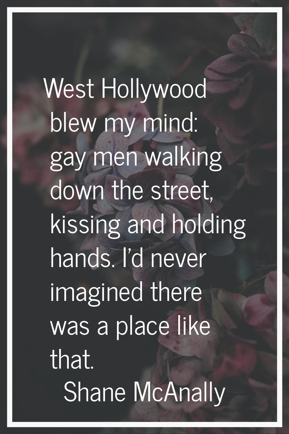 West Hollywood blew my mind: gay men walking down the street, kissing and holding hands. I'd never 