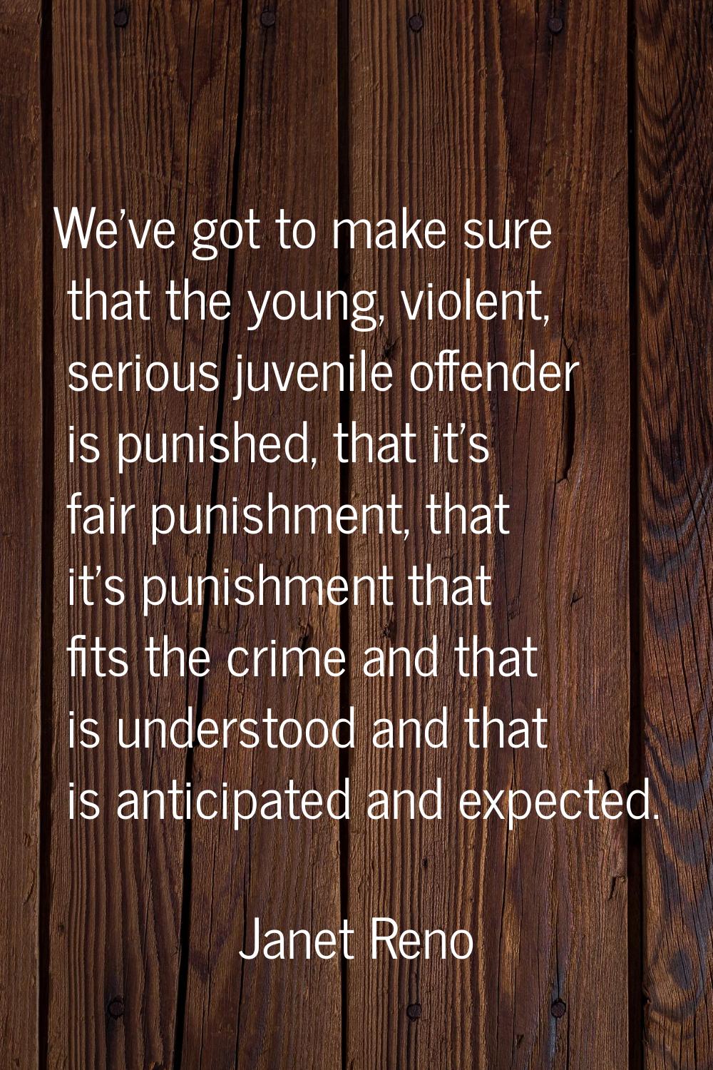 We've got to make sure that the young, violent, serious juvenile offender is punished, that it's fa
